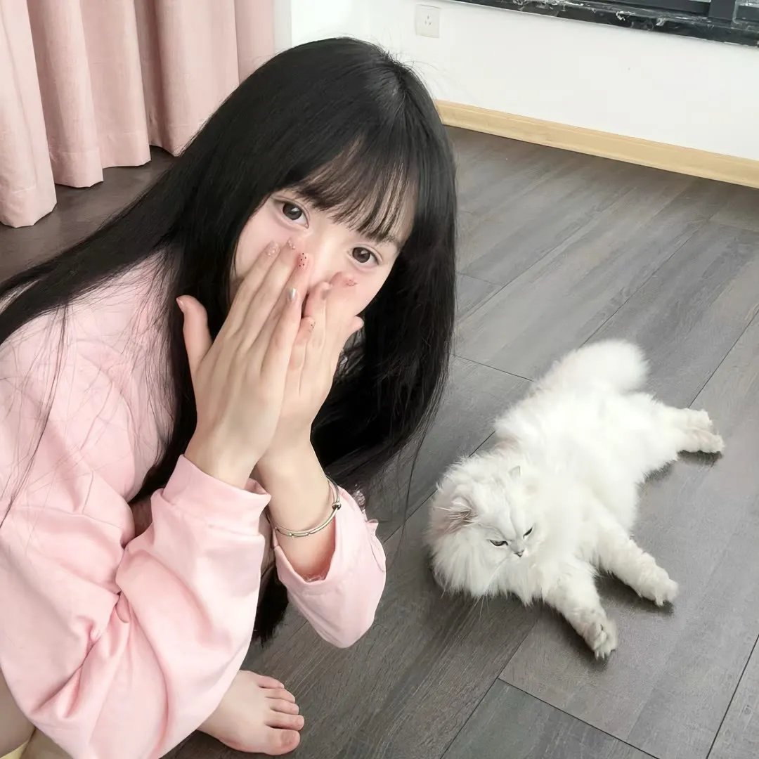 野猫