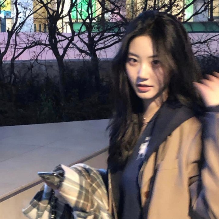 驯马(纪录片)